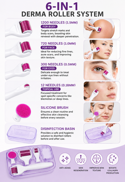 6-in-1 Derma Roller System