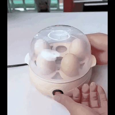 Egg Steamer Microwave