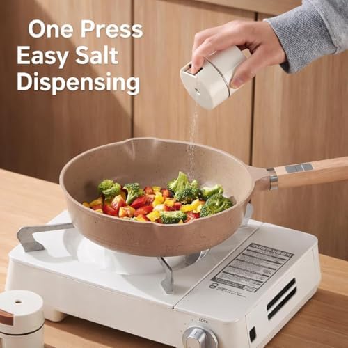 Under-Cabinet Spice Organizer
