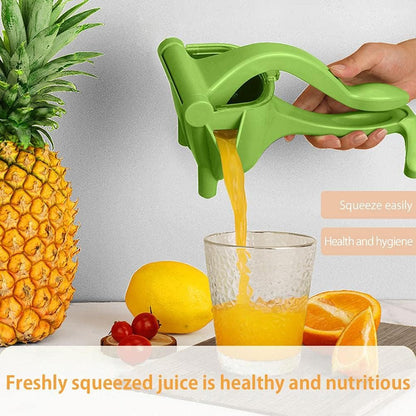 Manual Fruit Press